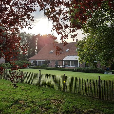 B&B Bergenhof Hoogstraten Exterior foto